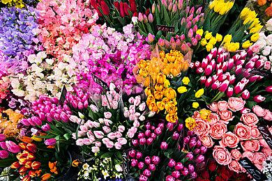 Steam秋冬季特卖时间确定 明年新推出春季特卖